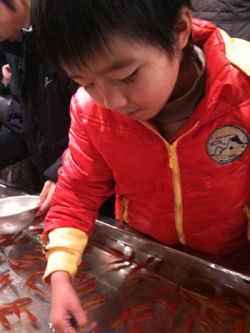 金魚すくい 金魚すくい